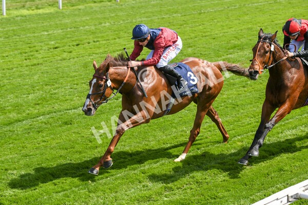 yr12052022r2-26 - Race 2 2.25pm Al Basti Equiworld Dubai Middleton Fillies' Stakes