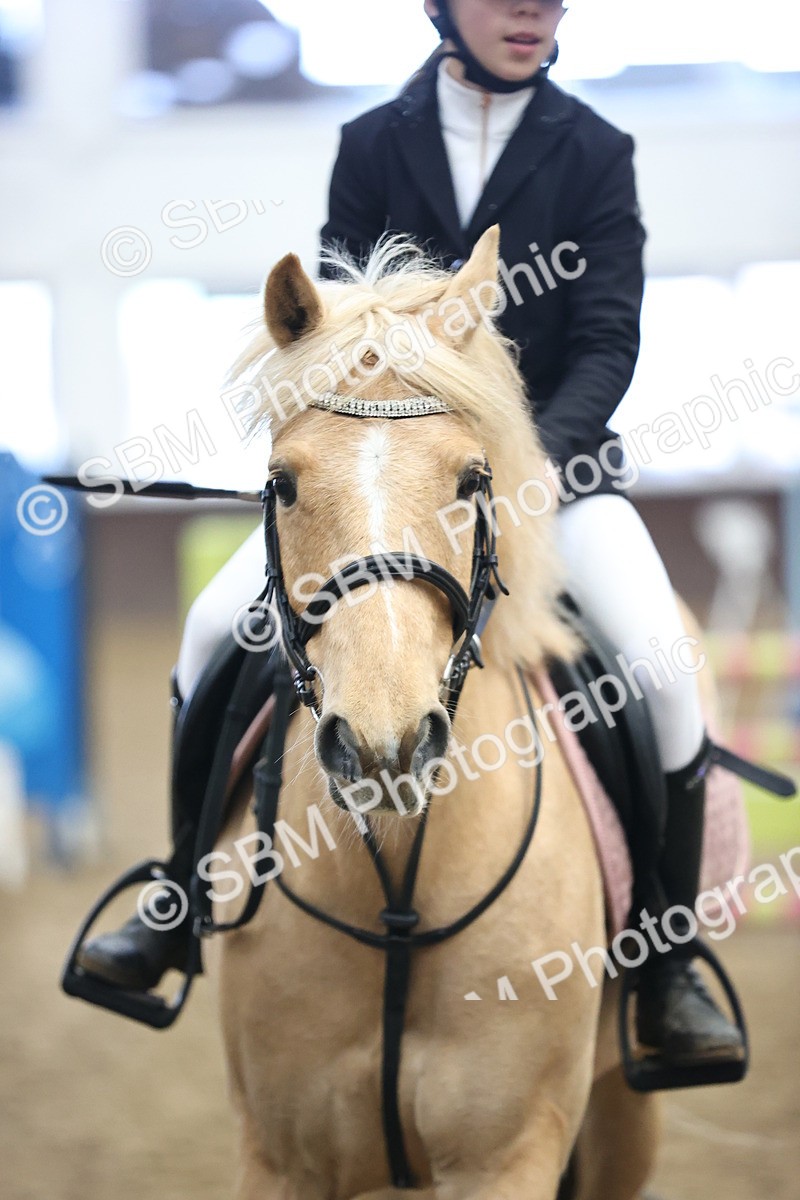 SBM_001396 - Class 9 - Pony British Novice 80cm