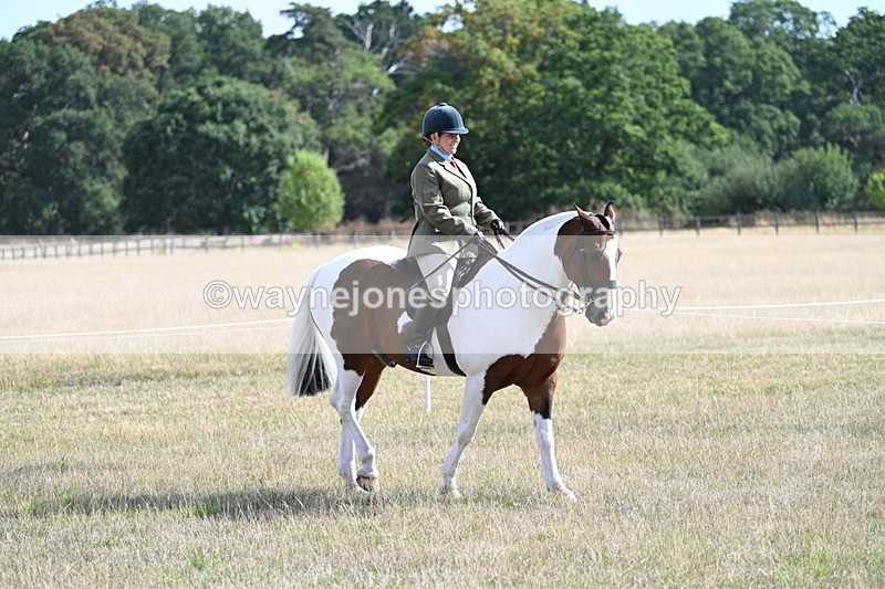WJ7_2697 - Class 8 Ridden Tack & Turnout
