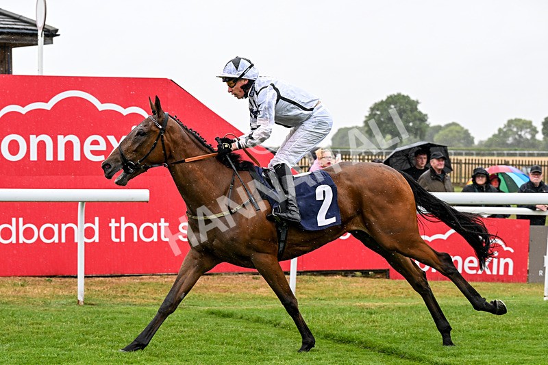 150725-Race 1-Dunkeld Dreamer-0094 - Race 1