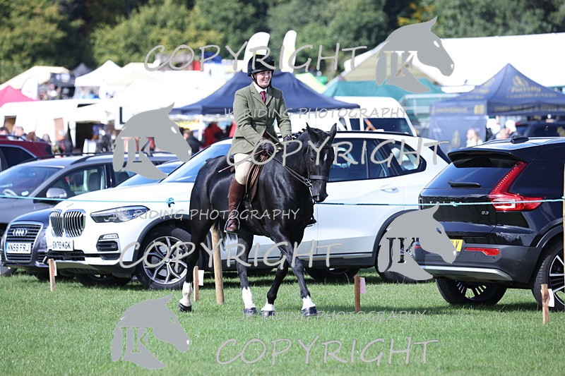 APP_3061 - Class 11 Veterans ridden