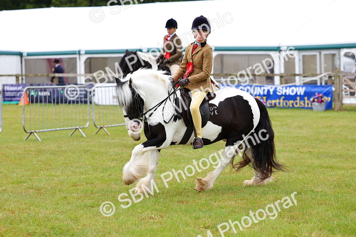 SBM_02646 - Class 9-11 Side Saddle including LIHS Rising Star Ladies Show Horse