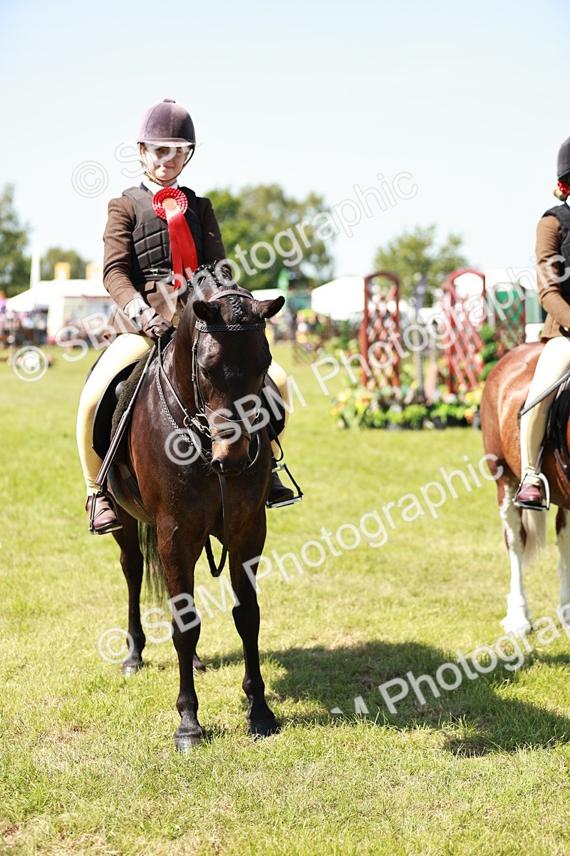 SBM_17655 - Class 112-113 - BSPS LIHS Working Sports Pony