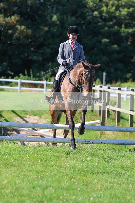 3E7A7802 - Class 2: Open Working Hunter pony