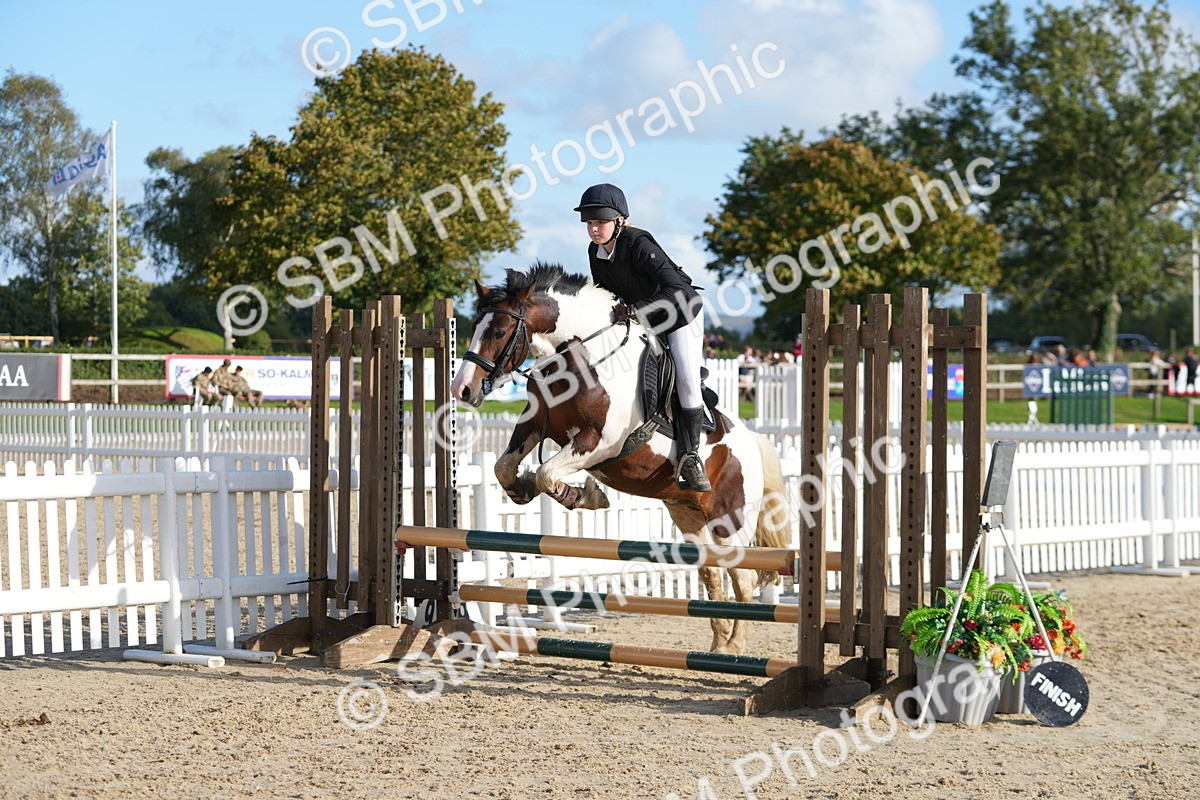 SBM_51024 - J8 - Junior Pony 65cm Championship