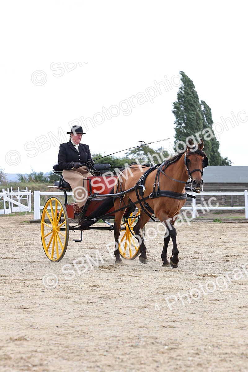 SBM_000772 - Class 6 - Exercise Vehicle 13.2 and over