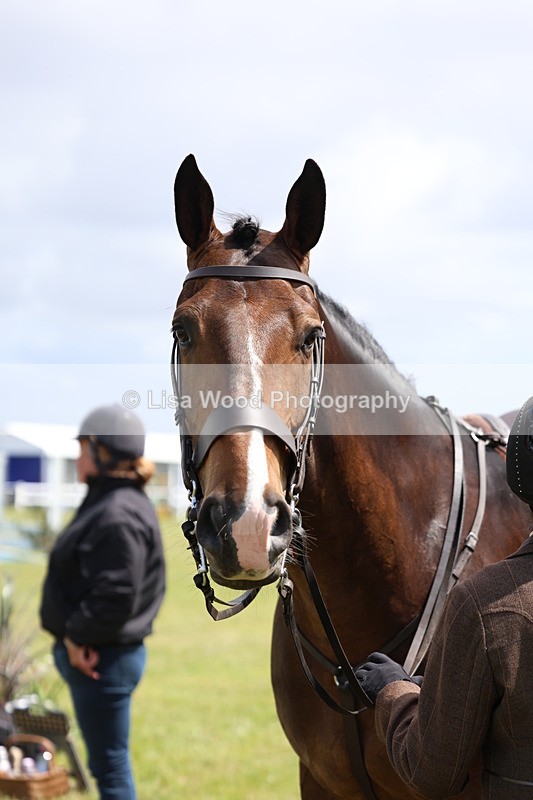 3E7A1606 - Class 9: Open Hunter