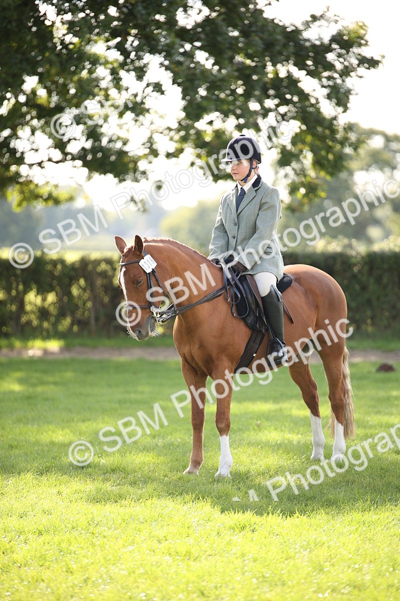 SBM_50086 - S26 - Young Veteran - Ridden