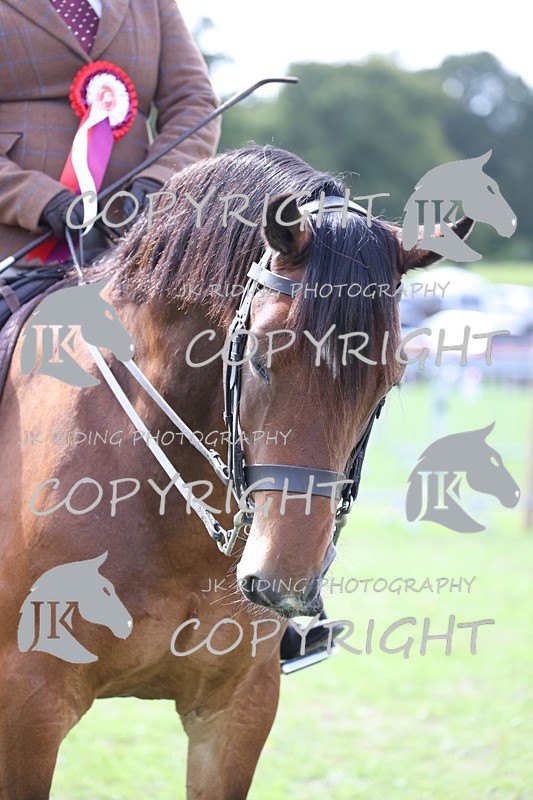 APP_3288 - Class 11 Veterans ridden