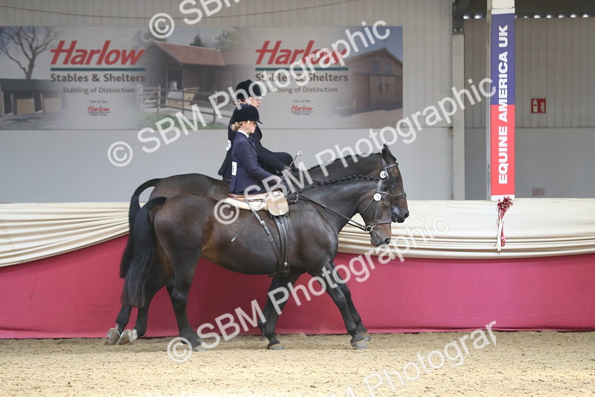 SBM_12934 - Class 109 Ridden Pairs- Section A