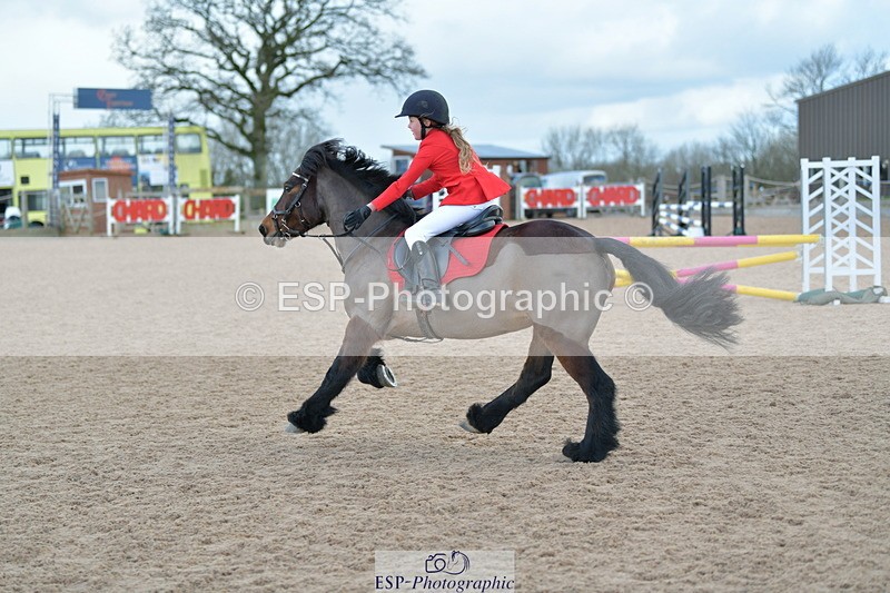 240211A-141546-03323 - Stepping Stones