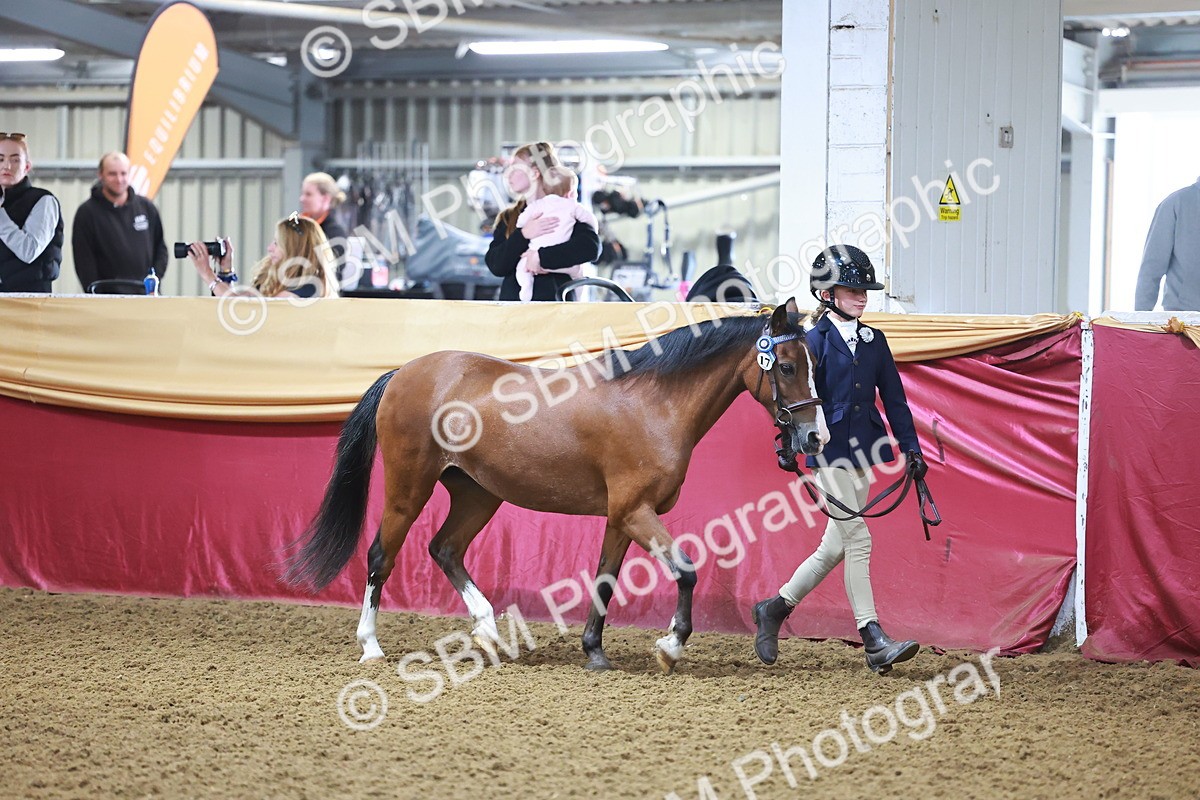 SBM_14571 - Class A - Junior Champ 10 year and Under