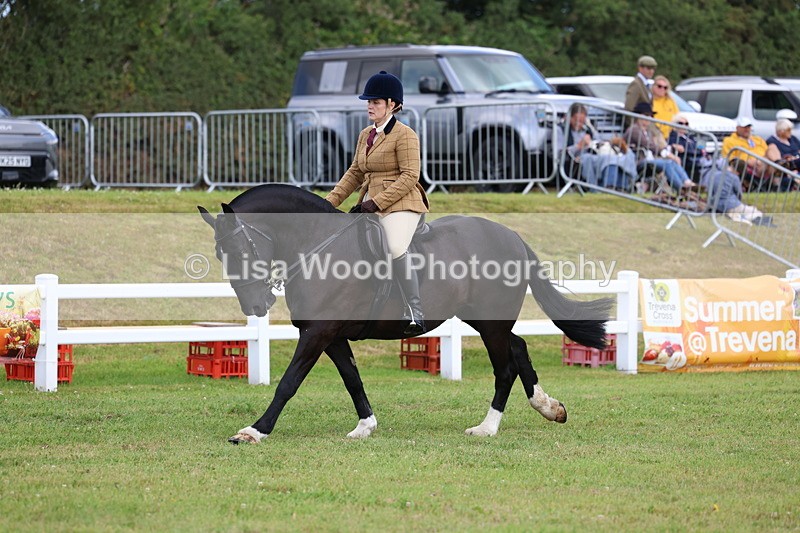 3E7A9727 - Class 5: Rising Star Lightweight/Heavyweight Cobs