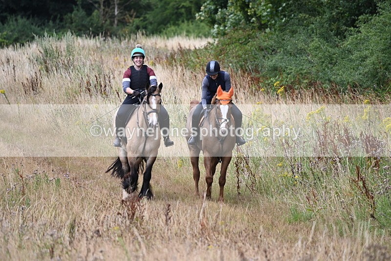 WJ6_2459 - Group 7