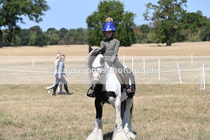 WJ6_9030 - Class 38 Ridden Riding Horse/Pony