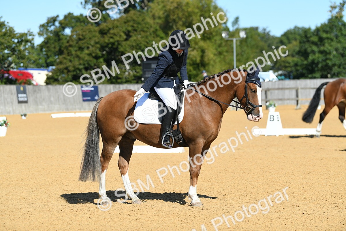SBM_18151 - D4 - Small Tour Championship - Intro B