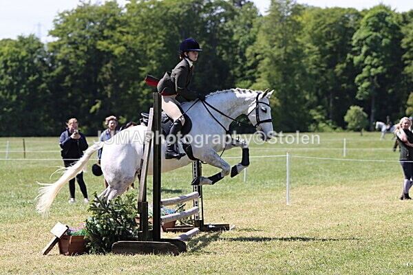 IMG_3512 - Working Hunter