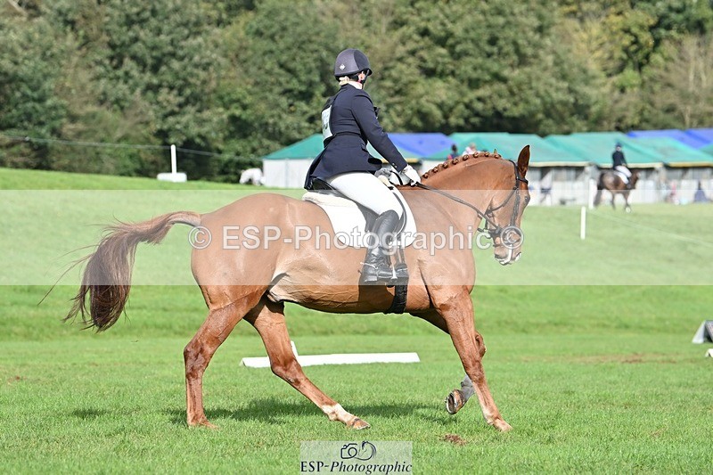 231020-114028-08224 - 648-FRIARSHILL.CHARLES-Caroline.Wilkinson-DR