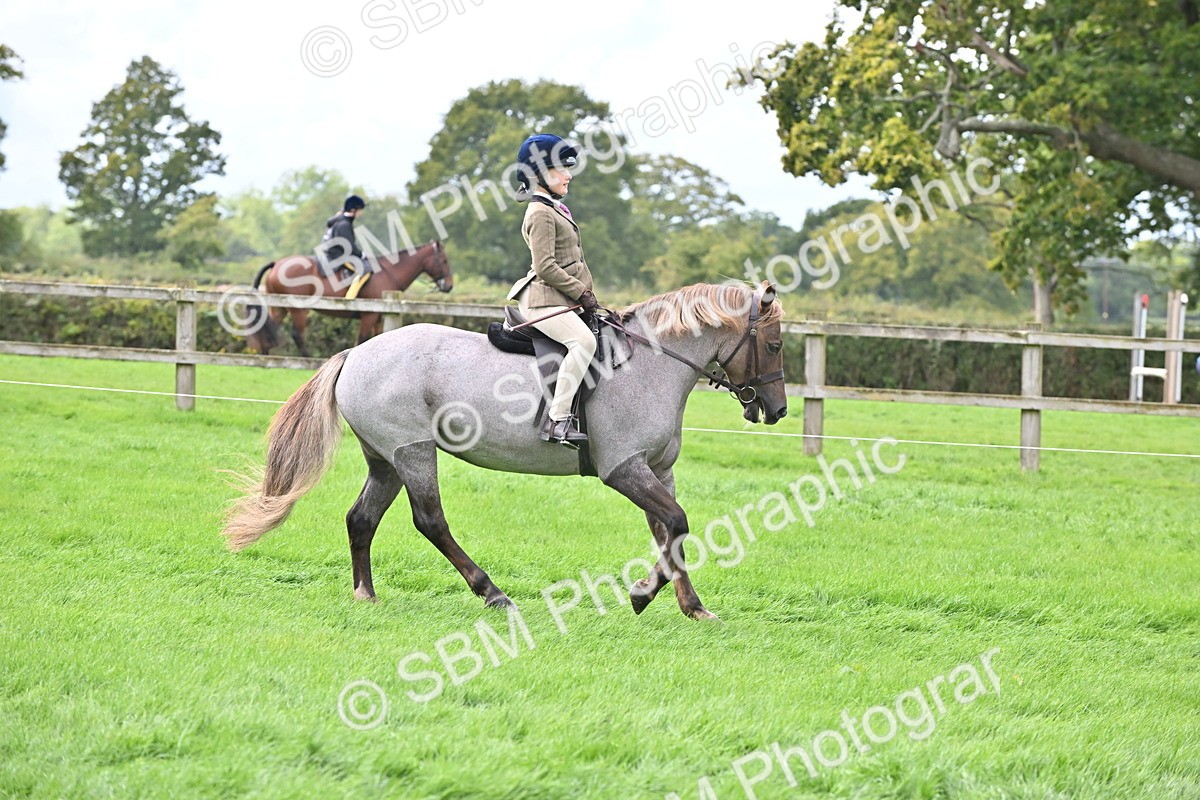 SBM_44475 - S13 - Pony Club Pony