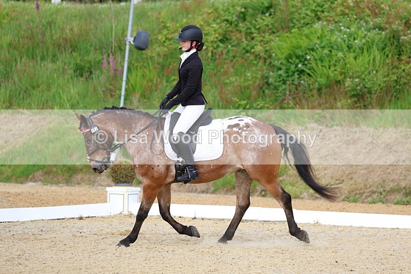 3E7A1437 - Class 2: Intro 2 2024 Section B