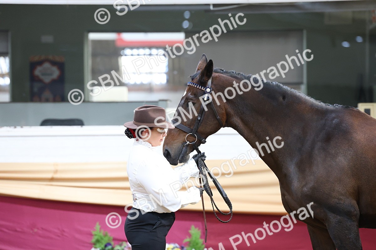 SBM_21853 - Class 901 - Supreme Final - IH  Diamond