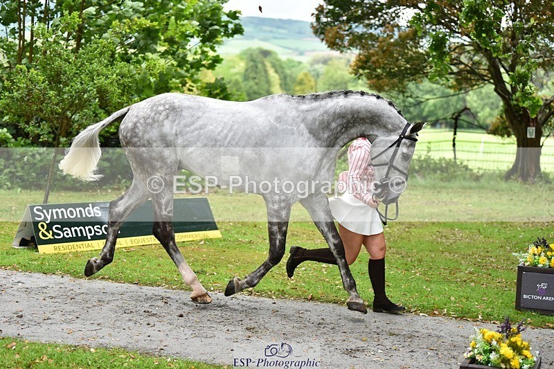 240522-155342-00566 - 110-CHATOON_S-Katie_Wrennall