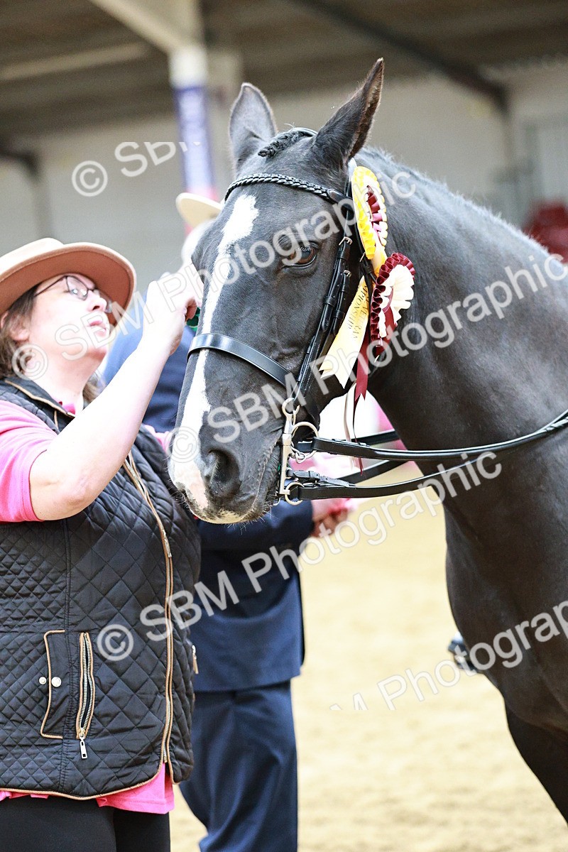 SBM_02335 - Class 4A - Area Ridden Diamond
