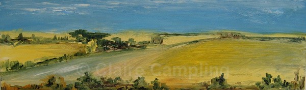 Hampshire Fields (2007) - Landscapes