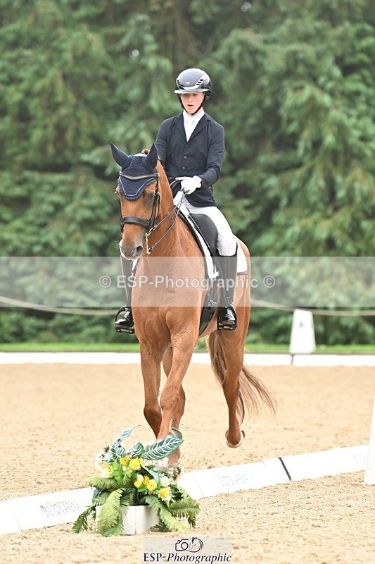 240811-113440-05210 - 208-Tom.Carter-Rubin.Regal