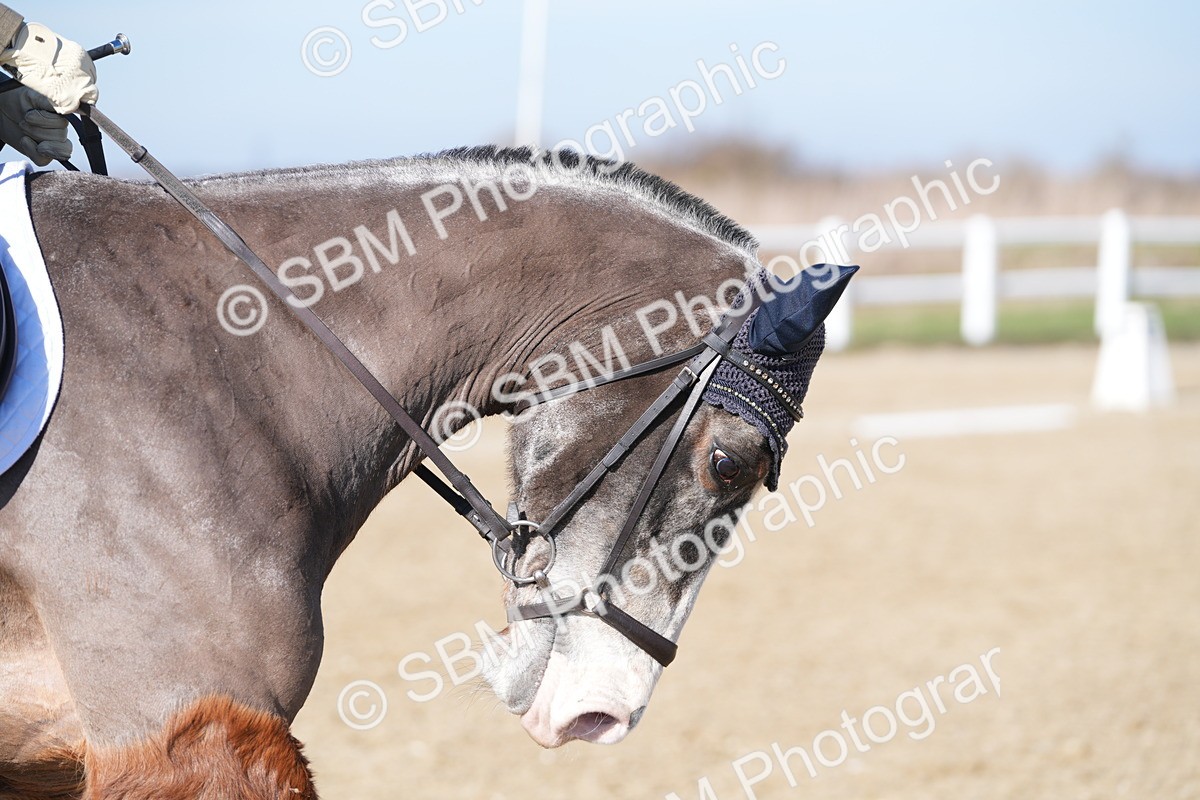 SBM_002194 - Class 3 - P1