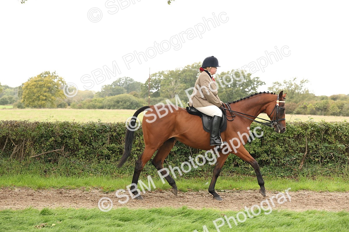 SBM_64184 - S65 - Riding Horse & Hack & Thoroughbred Ridden