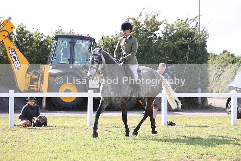 JPP_3024 - Class 20: Working Hunter 70cm