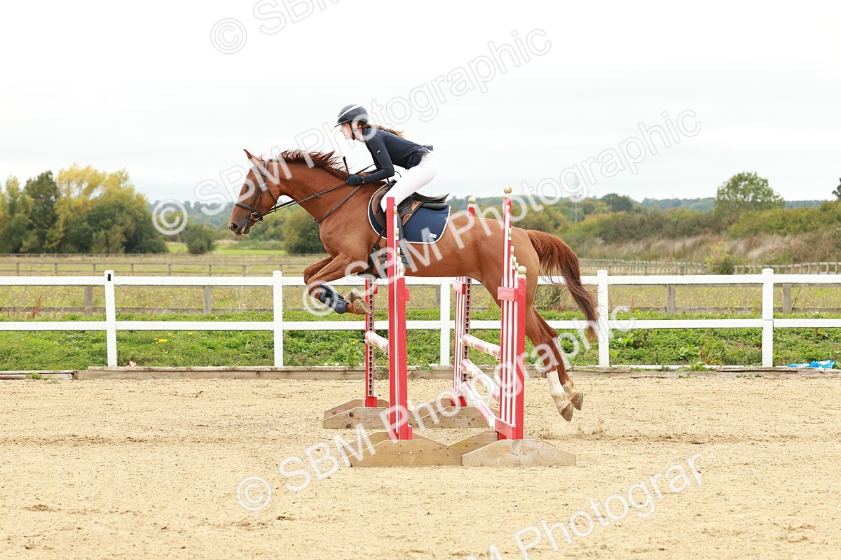 1I0A6963 - Class 2 - Senior British Novice