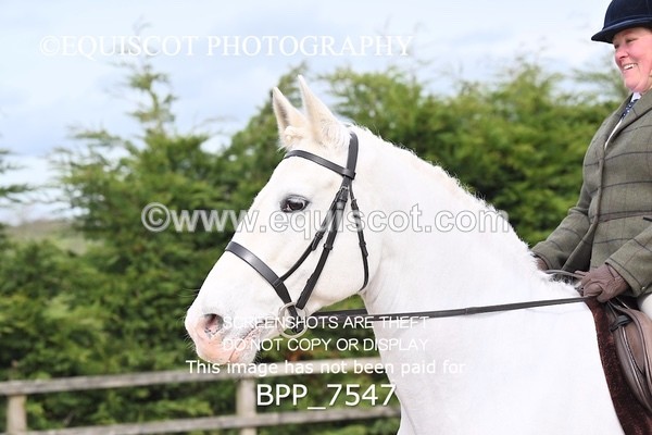 BPP_7547 - RING 1  (RIDDEN HORSES / IN HAND / VETERAN ETC)