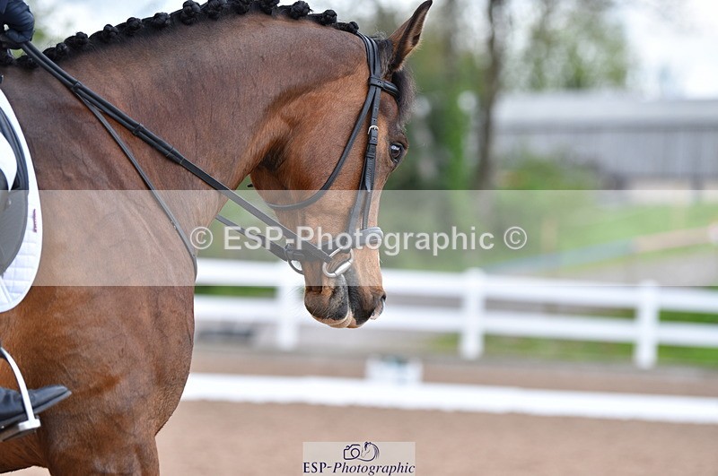 230511A-104126-00317 - BD Cls 4 Novice 22