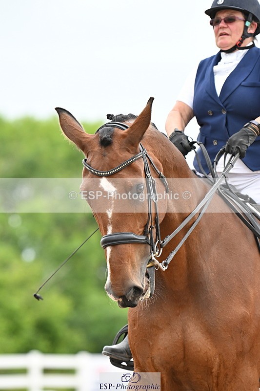 240623A-141614-18979 - Cls 51 BD Elementary 53