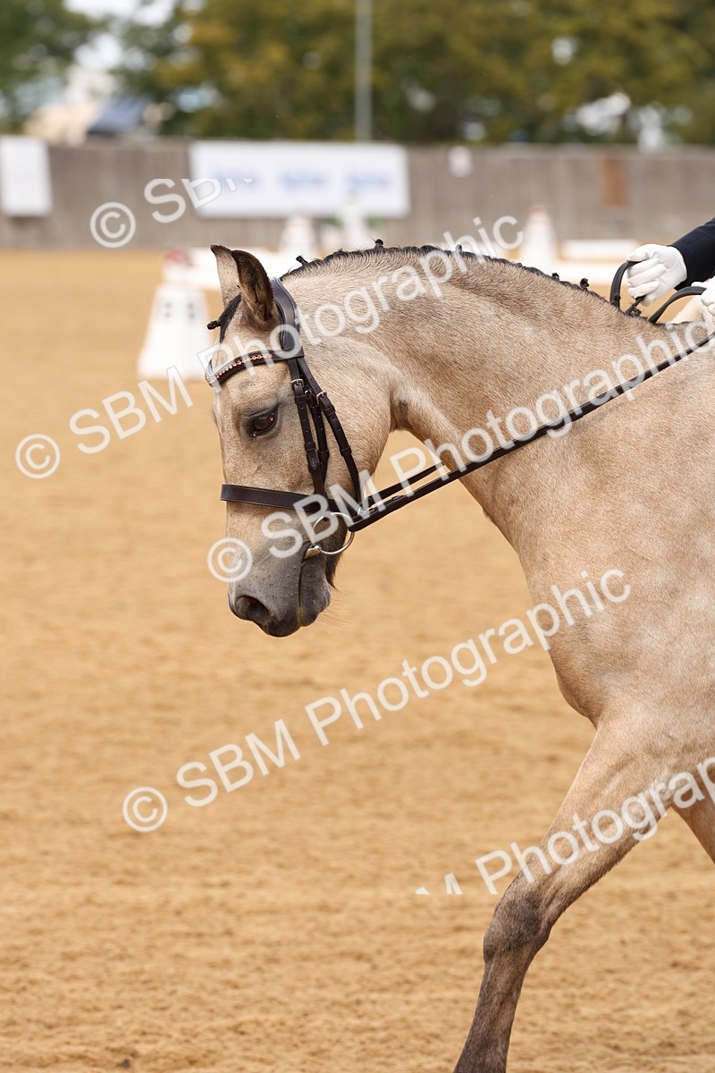 SBM_20336 - D10 - Small Tour Championship Prelim 2