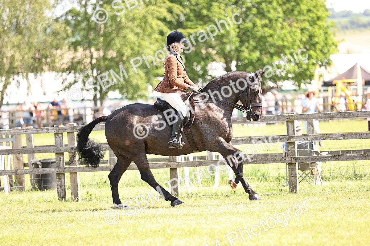 SBM_13726 - Class 77 - LIHS BSHA Rising Star Cobs