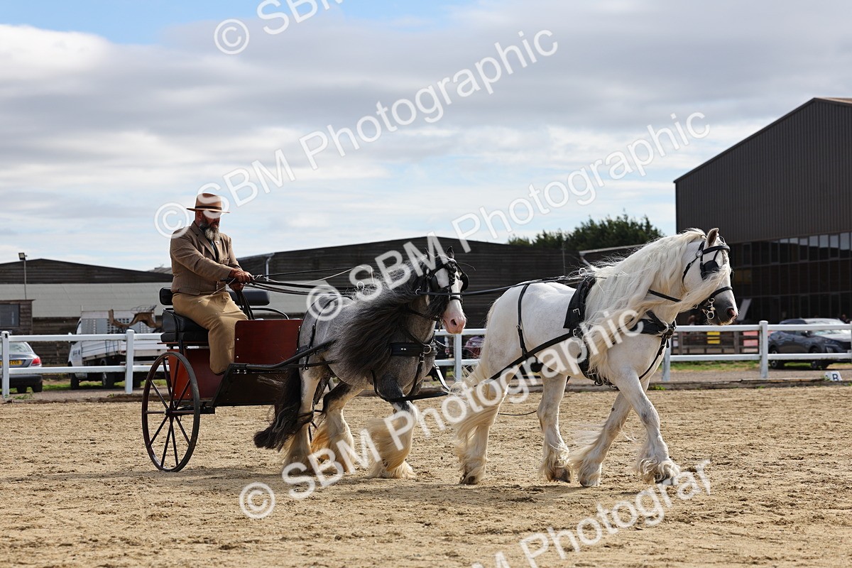 SBM_001226 - Class 16 - Pairs ,Multiples and Tandems