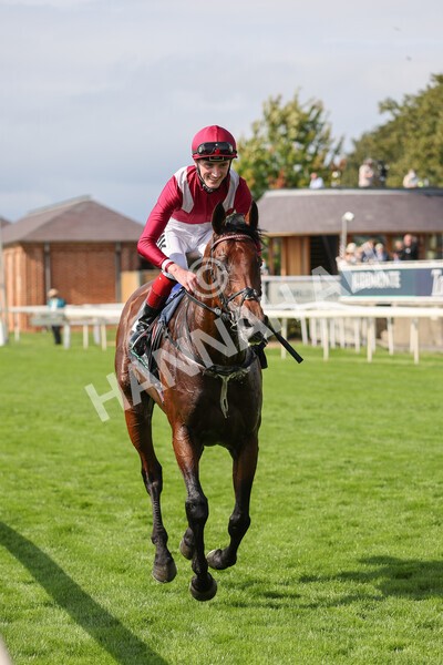 yr18082021r4-101 - Race 4 3.35pm Juddmonte International Stakes (British Champion Series race)