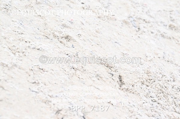 BPP_7187 - RING 1  (RIDDEN HORSES / IN HAND / VETERAN ETC)