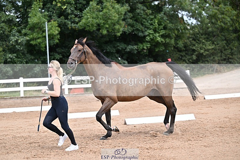 250716-132834-00542 - Trot Up 12.30 to 1.30