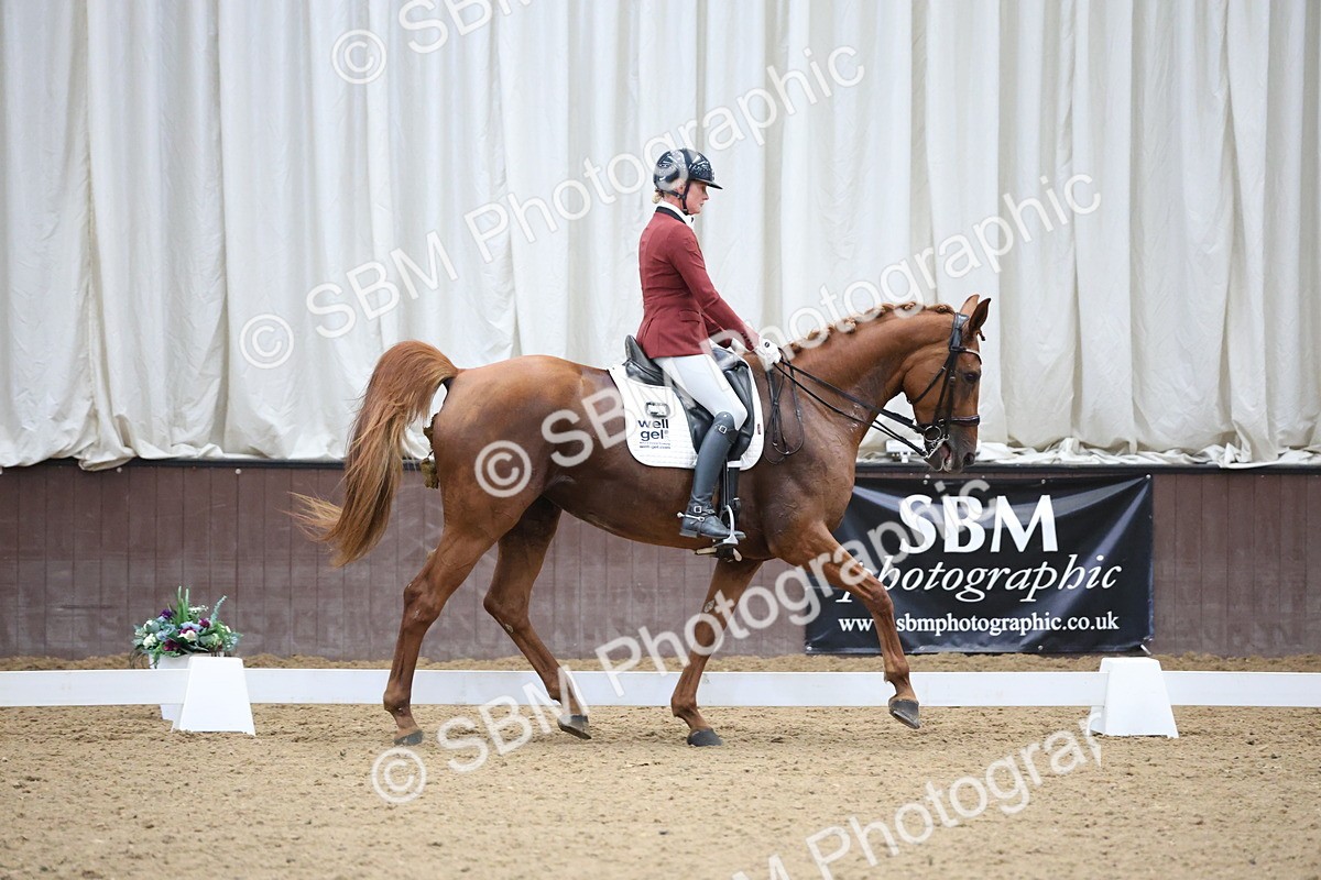 SBM_006661 - Class 22 - Medium 5 Silver