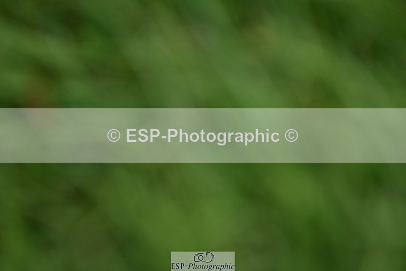 240605-160632-01360 - Cls 11-13 FEI PSG and Inter