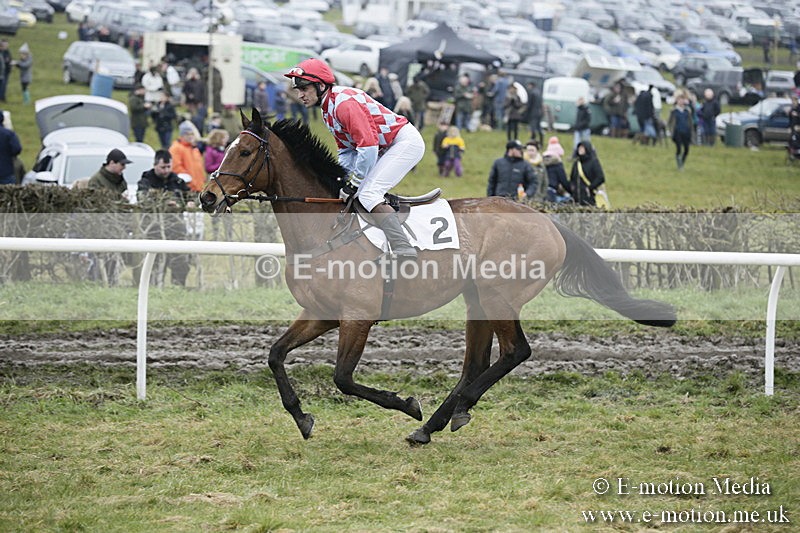 PtP 020418 -95 - Old Berks Point-to-Point Races Easter Monday 02/04/18