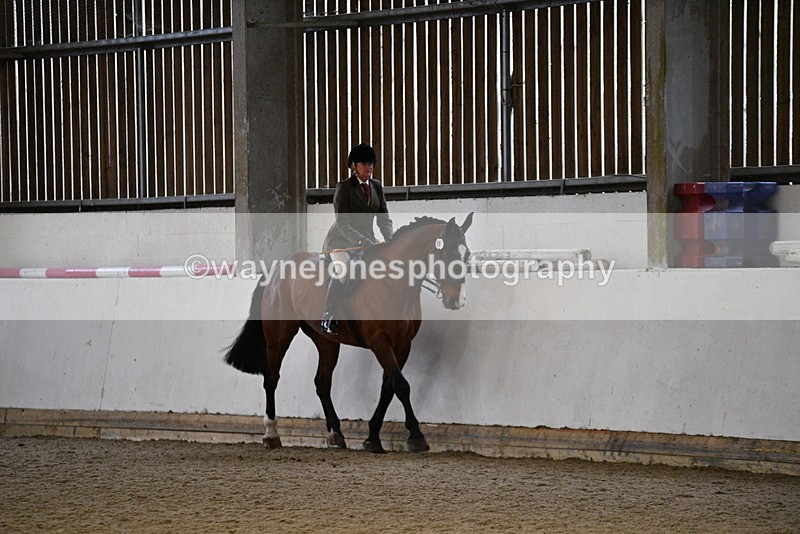WJ5_8773 - Class 15 Ridden Show Horse