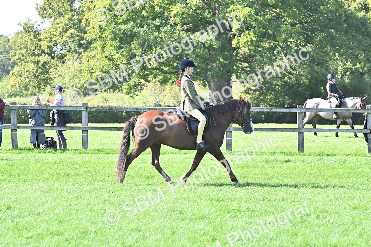 SBM_44554 - S13 - Pony Club Pony