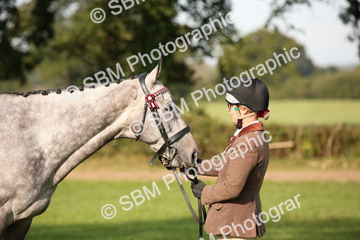 SBM_59360 - S52 - Other Coloured Horse In Hand