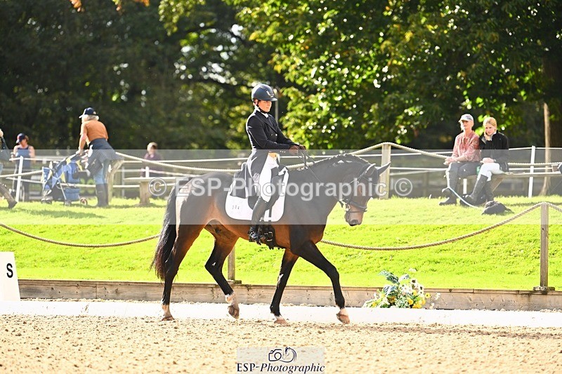 231020-140144-09802 - 304-TOLANTYBE.Z-Caroline.Basnett-DR