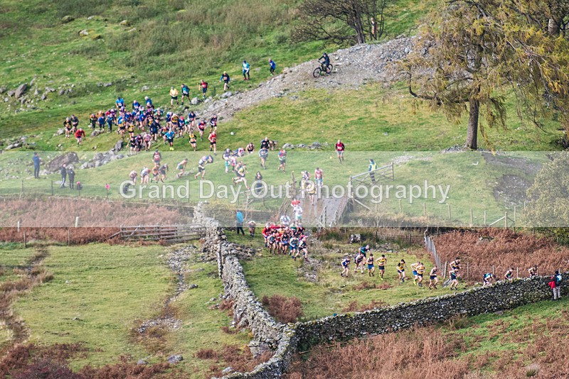 Stybarrow Dodd-102 - Kong Running Stybarrow Dodd Fell Race Saturday 4th November 2023